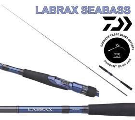 labrax seabass daiwa canne leurres 2026