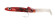 raglou 3d ablr ABALONE RED