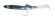raglou 3d RAGOT SARDINE