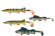 Clone Shad Balzer