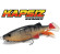 Kapsiz Swimmer 230 et 300 BIWAA