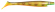 Pig shad jr strike pro cwc brochet
