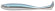 pit swimmer corps pearl blue