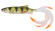 Reptile Shad perch Balzer