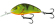 hornet floating salmo 9cm hot perch