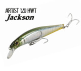 artist 120 hwt jackson leurre