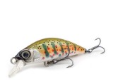 Chiko Minnow ADAM'S