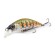 Chiko Minnow ADAM'S