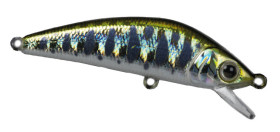 IFish 50S FOREST