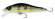 jerkbait 50 coloris truitelle ADAM'S