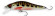 jerkbait 50 coloris vairon fraie ADAM'S