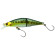 rafalea jt 56s trefle creation VRN VAIRON