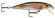 x-rap countdown rapala