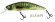 Zero Arise Minnow coloris alevin ADAM'S