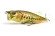 pop max megabass