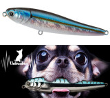 leurre chihuahua