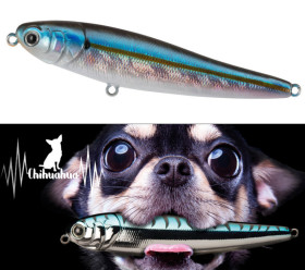 leurre chihuahua