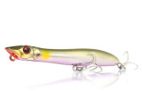 Patchinko XORUS