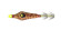 pulce soft jatsui sb