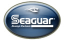 Seaguar fluorocarbone