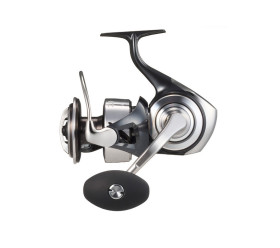 certate 26 sw daiwa moulinet
